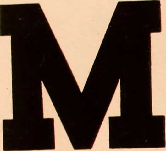 An illustration from The art of lettering and sign painter’s manual : a complete and practical illustration of the art of sign writing / by A. P. Boyce, 1878, leaf 32