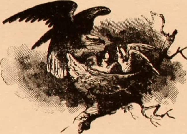 An illustration from The art of lettering and sign painter’s manual : a complete and practical illustration of the art of sign writing / by A. P. Boyce, 1878, leaf 64