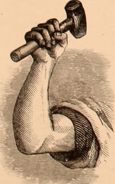 An illustration from The art of lettering and sign painter’s manual : a complete and practical illustration of the art of sign writing / by A. P. Boyce, 1878, leaf 64