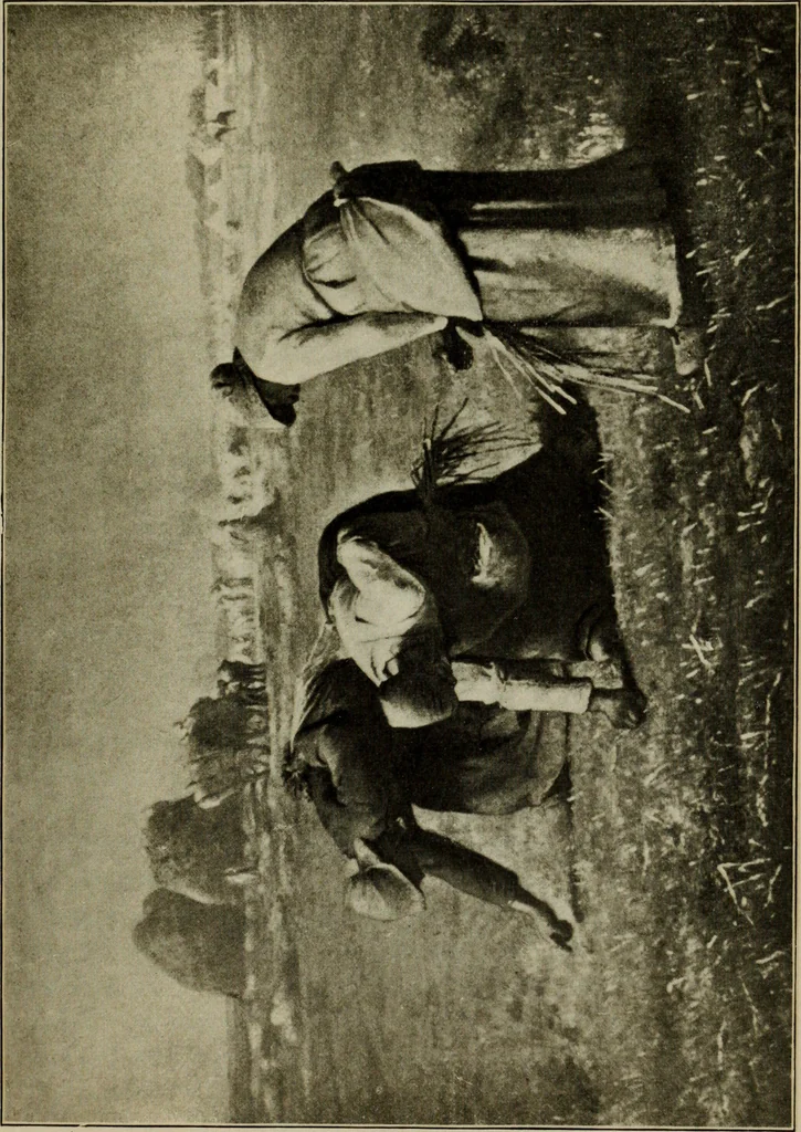 An illustration from The art of the Louvre, containing a brief history of the palace and of its collection of paintings, as well as descriptions and criticism of many of the principal pictures and their artists, 1905, leaf 464