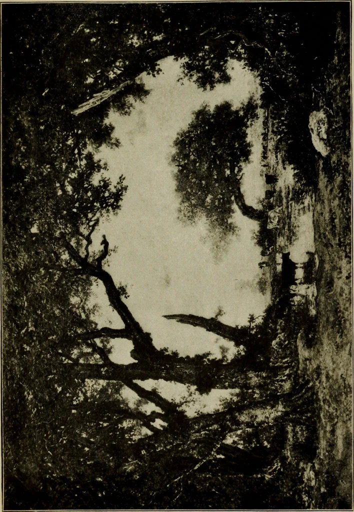 An illustration from The art of the Louvre, containing a brief history of the palace and of its collection of paintings, as well as descriptions and criticism of many of the principal pictures and their artists, 1905, leaf 468