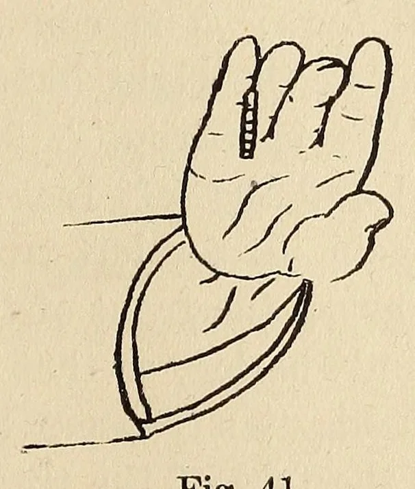 An illustration from The art of magic, 1909, leaf 247