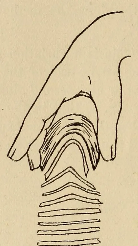 An illustration from The art of magic, 1909, leaf 36