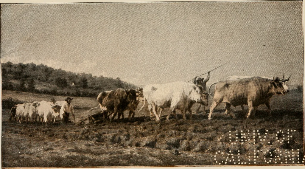 An illustration from The art of painting in the nineteenth century, 1908, leaf 48