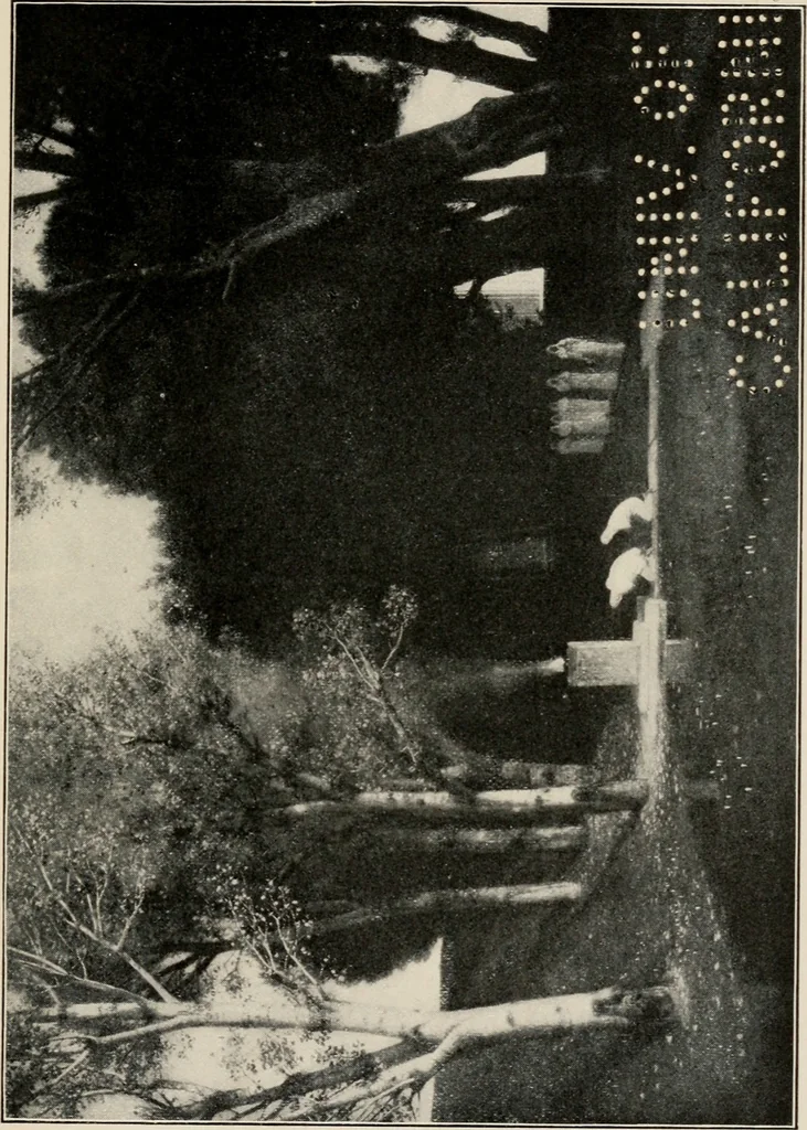An illustration from The art of painting in the nineteenth century, 1908, leaf 66