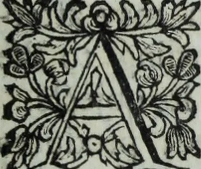 An illustration from The art of painting, with the lives and characters of above 300 of the most eminent painters : containing a complete treatise of painting, designing, and the use of prints : with reflexions on the works of the most celebrated masters, and of several schools of Europe, as well ancient as modern, being the most perfect work of the kind extant, 1754, leaf 370
