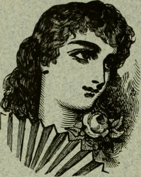 An illustration from The art of the Saracens in Egypt, 1886, leaf 1