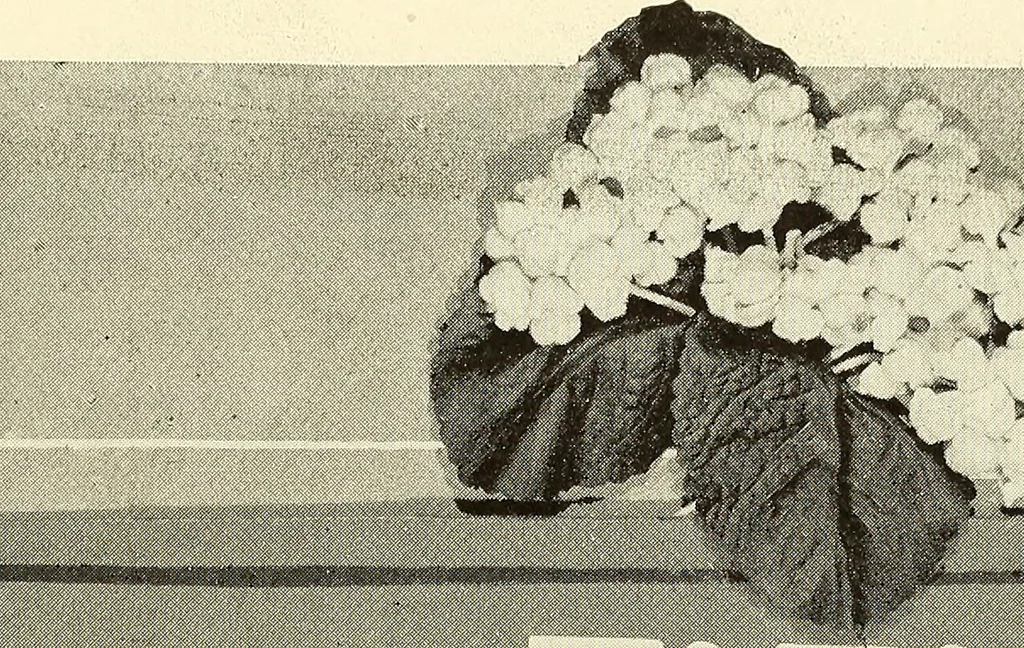 An illustration from The art of show card writing; a modern treatise on show card writing, designed as an educator in all branches of the art...With two hundred and fifty-six illustrations and thirty-two lettering plates, comprising all the standard ancient and modern styles, 1907, leaf 131