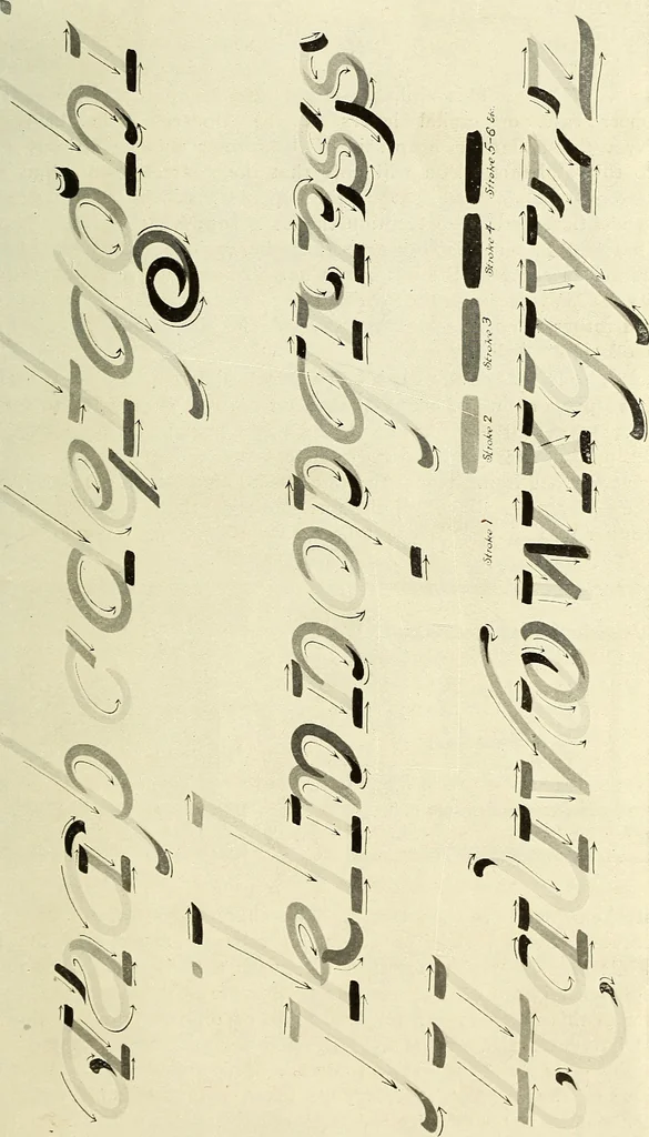 An illustration from The art of show card writing; a modern treatise on show card writing, designed as an educator in all branches of the art...With two hundred and fifty-six illustrations and thirty-two lettering plates, comprising all the standard ancient and modern styles, 1907, leaf 16