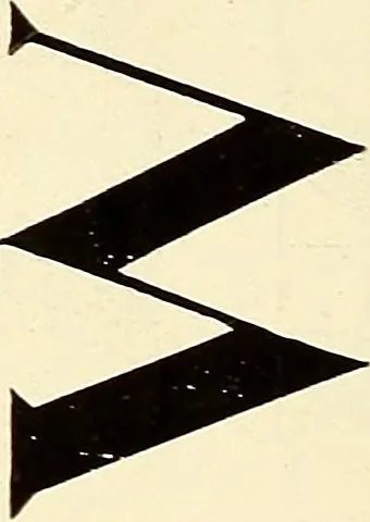 An illustration from The art of show card writing; a modern treatise on show card writing, designed as an educator in all branches of the art...With two hundred and fifty-six illustrations and thirty-two lettering plates, comprising all the standard ancient and modern styles, 1907, leaf 193