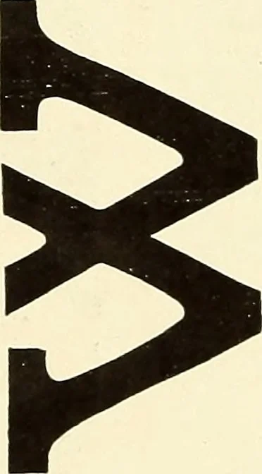 An illustration from The art of show card writing; a modern treatise on show card writing, designed as an educator in all branches of the art...With two hundred and fifty-six illustrations and thirty-two lettering plates, comprising all the standard ancient and modern styles, 1907, leaf 200