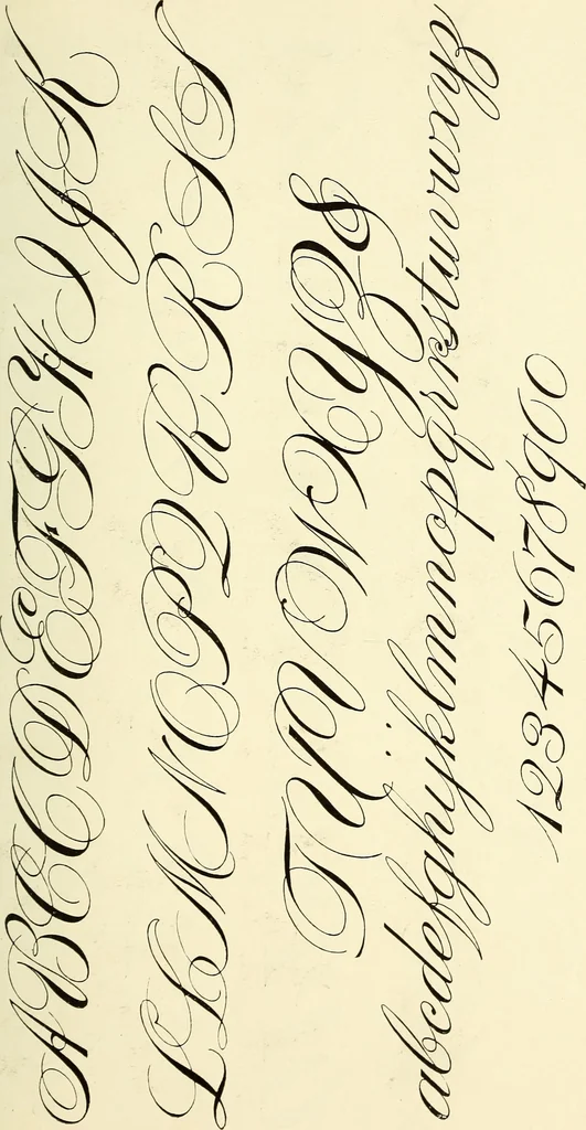 An illustration from The art of show card writing; a modern treatise on show card writing, designed as an educator in all branches of the art...With two hundred and fifty-six illustrations and thirty-two lettering plates, comprising all the standard ancient and modern styles, 1907, leaf 202