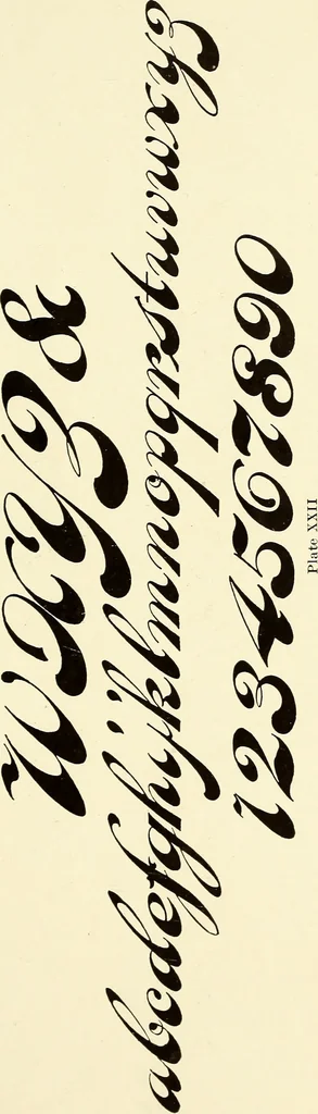 An illustration from The art of show card writing; a modern treatise on show card writing, designed as an educator in all branches of the art...With two hundred and fifty-six illustrations and thirty-two lettering plates, comprising all the standard ancient and modern styles, 1907, leaf 204