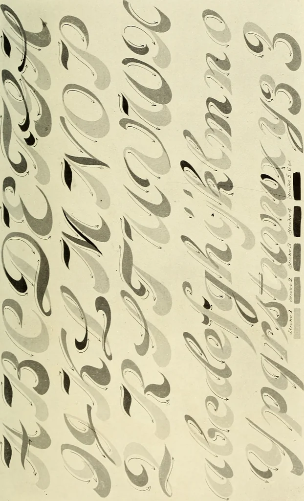 An illustration from The art of show card writing; a modern treatise on show card writing, designed as an educator in all branches of the art...With two hundred and fifty-six illustrations and thirty-two lettering plates, comprising all the standard ancient and modern styles, 1907, leaf 24