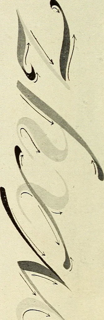 An illustration from The art of show card writing; a modern treatise on show card writing, designed as an educator in all branches of the art...With two hundred and fifty-six illustrations and thirty-two lettering plates, comprising all the standard ancient and modern styles, 1907, leaf 25