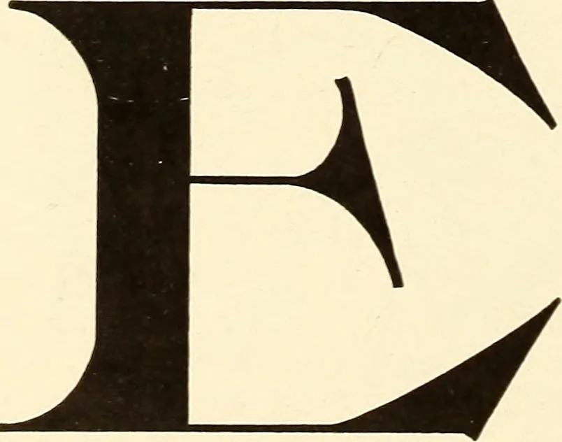 An illustration from The art of show card writing; a modern treatise on show card writing, designed as an educator in all branches of the art...With two hundred and fifty-six illustrations and thirty-two lettering plates, comprising all the standard ancient and modern styles, 1907, leaf 29