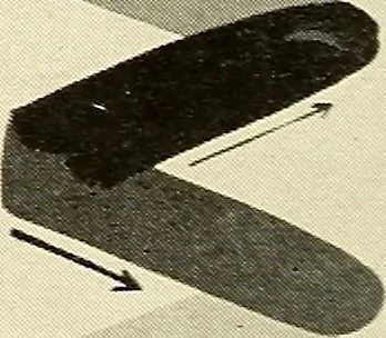 An illustration from The art of show card writing; a modern treatise on show card writing, designed as an educator in all branches of the art...With two hundred and fifty-six illustrations and thirty-two lettering plates, comprising all the standard ancient and modern styles, 1907, leaf 31