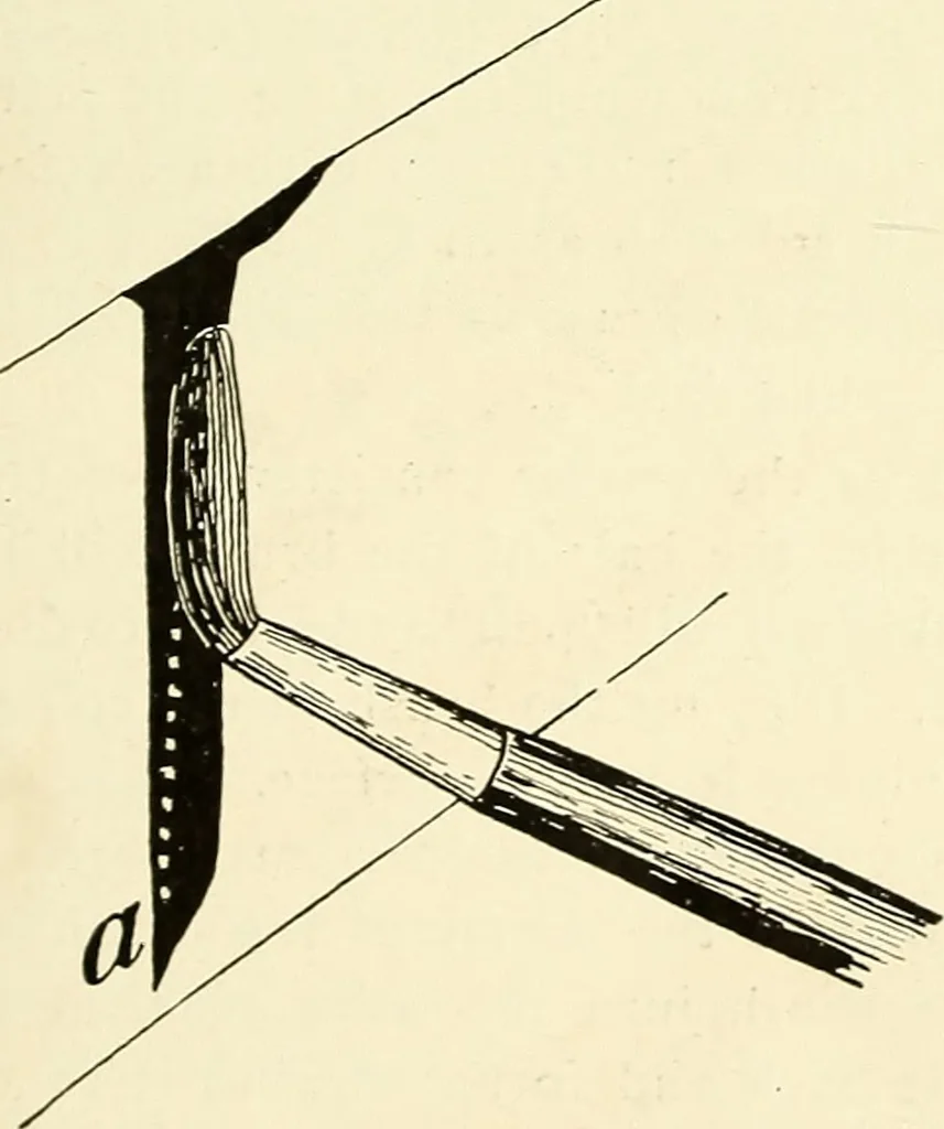 An illustration from The art of show card writing; a modern treatise on show card writing, designed as an educator in all branches of the art...With two hundred and fifty-six illustrations and thirty-two lettering plates, comprising all the standard ancient and modern styles, 1907, leaf 36