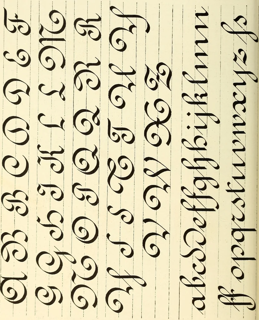 An illustration from The art of show card writing; a modern treatise on show card writing, designed as an educator in all branches of the art...With two hundred and fifty-six illustrations and thirty-two lettering plates, comprising all the standard ancient and modern styles, 1907, leaf 49