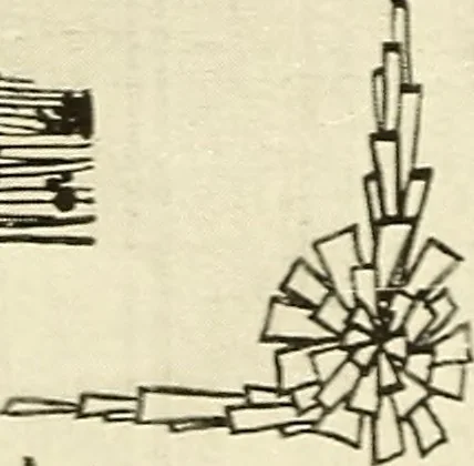 An illustration from The art of show card writing; a modern treatise on show card writing, designed as an educator in all branches of the art...With two hundred and fifty-six illustrations and thirty-two lettering plates, comprising all the standard ancient and modern styles, 1907, leaf 74