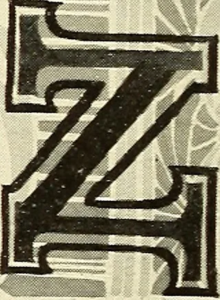 An illustration from The art of show card writing; a modern treatise on show card writing, designed as an educator in all branches of the art...With two hundred and fifty-six illustrations and thirty-two lettering plates, comprising all the standard ancient and modern styles, 1907, leaf 77