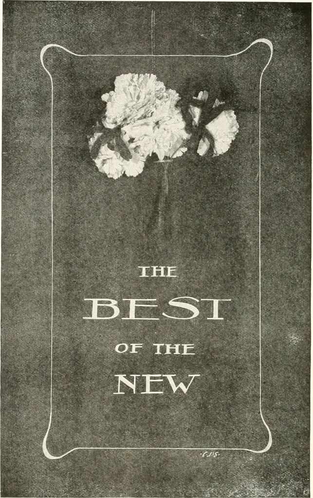 An illustration from The art of show card writing; a modern treatise covering all branches of the art ... with one hundred and fifty-three illustrations and thirty-two lettering plates, comprising all the standard ancient and modern styles, 1922, leaf 141