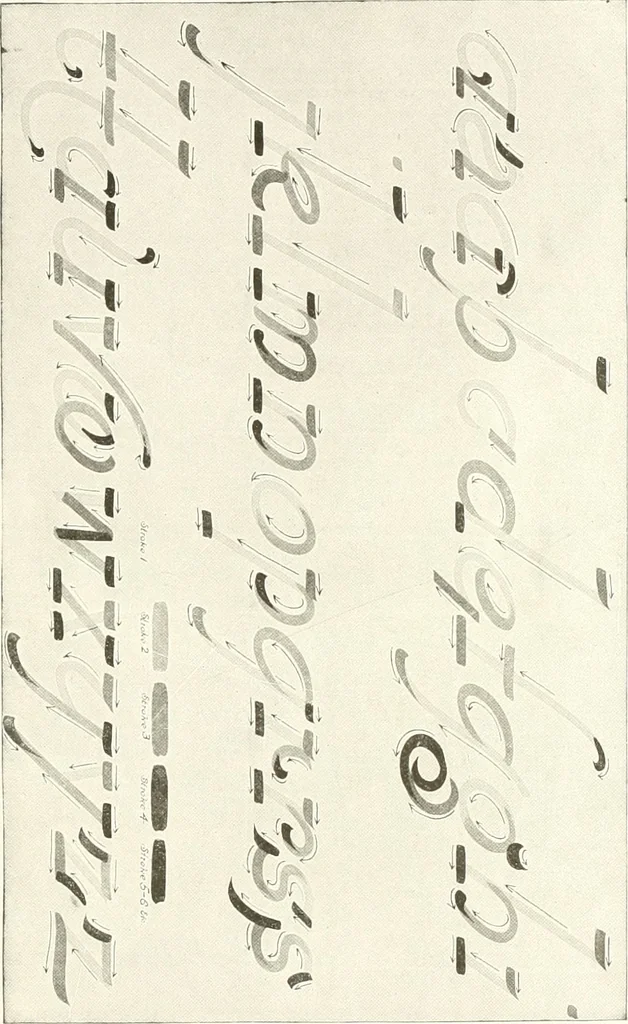An illustration from The art of show card writing; a modern treatise covering all branches of the art ... with one hundred and fifty-three illustrations and thirty-two lettering plates, comprising all the standard ancient and modern styles, 1922, leaf 18