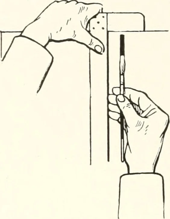 An illustration from The art of show card writing; a modern treatise covering all branches of the art ... with one hundred and fifty-three illustrations and thirty-two lettering plates, comprising all the standard ancient and modern styles, 1922, leaf 201