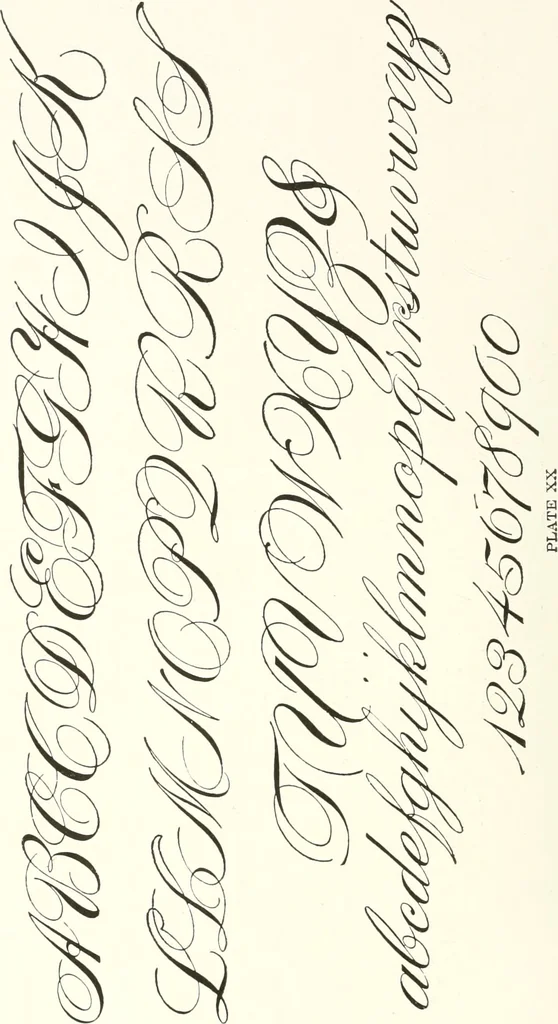 An illustration from The art of show card writing; a modern treatise covering all branches of the art ... with one hundred and fifty-three illustrations and thirty-two lettering plates, comprising all the standard ancient and modern styles, 1922, leaf 227