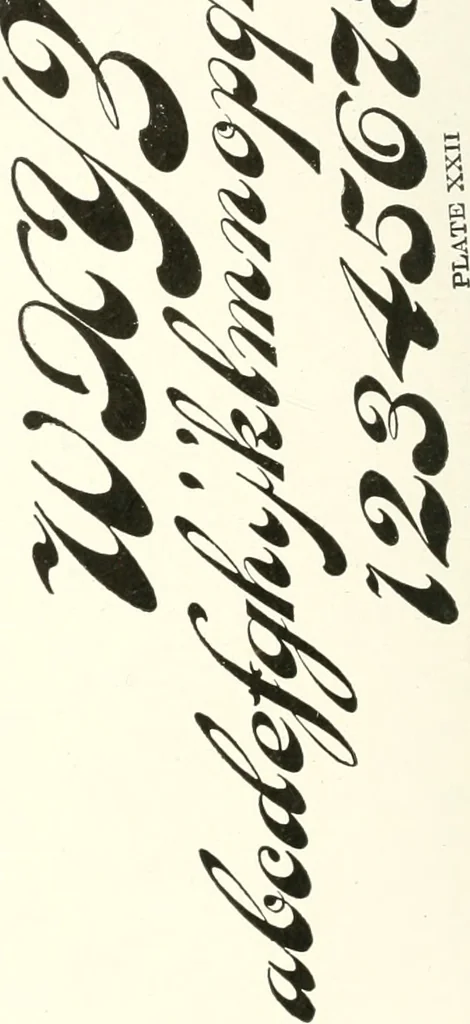 An illustration from The art of show card writing; a modern treatise covering all branches of the art ... with one hundred and fifty-three illustrations and thirty-two lettering plates, comprising all the standard ancient and modern styles, 1922, leaf 229