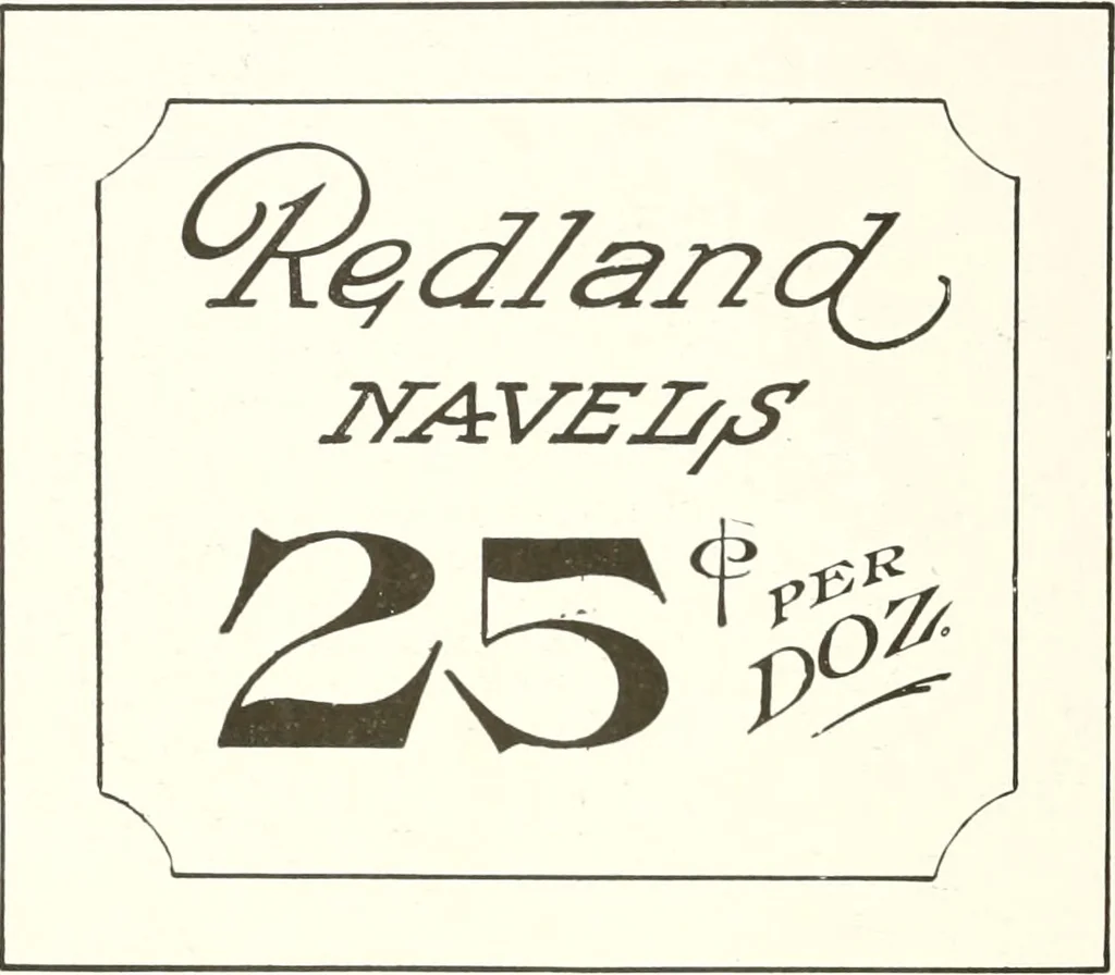 An illustration from The art of show card writing; a modern treatise covering all branches of the art ... with one hundred and fifty-three illustrations and thirty-two lettering plates, comprising all the standard ancient and modern styles, 1922, leaf 33