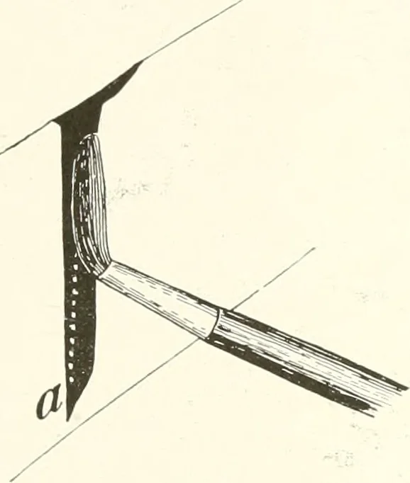 An illustration from The art of show card writing; a modern treatise covering all branches of the art ... with one hundred and fifty-three illustrations and thirty-two lettering plates, comprising all the standard ancient and modern styles, 1922, leaf 38