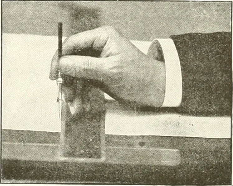 An illustration from The art of show card writing; a modern treatise covering all branches of the art ... with one hundred and fifty-three illustrations and thirty-two lettering plates, comprising all the standard ancient and modern styles, 1922, leaf 51