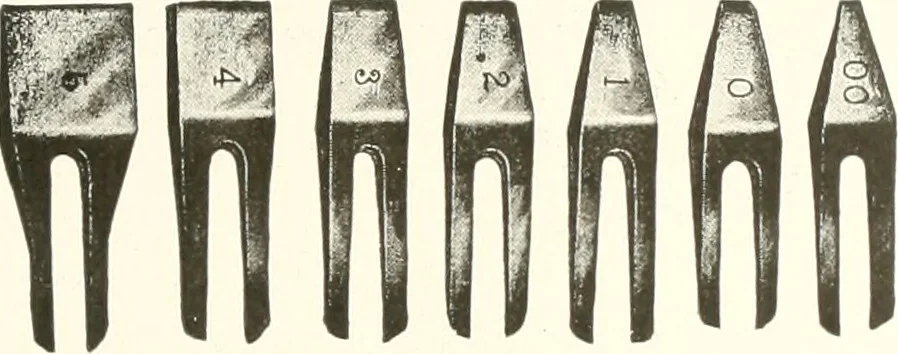 An illustration from The art of show card writing; a modern treatise covering all branches of the art ... with one hundred and fifty-three illustrations and thirty-two lettering plates, comprising all the standard ancient and modern styles, 1922, leaf 60
