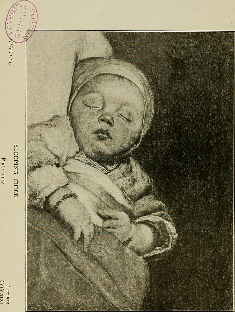 An illustration from The art of the Vienna galleries : giving a brief history of the public and private galleries of Vienna, with a critical description of the paintings therein contained., 1911, leaf 362