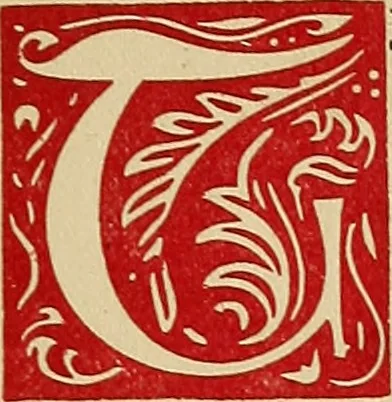 An illustration from The art of the Vienna galleries : giving a brief history of the public and private galleries of Vienna, with a critical description of the paintings therein contained., 1911, leaf 6