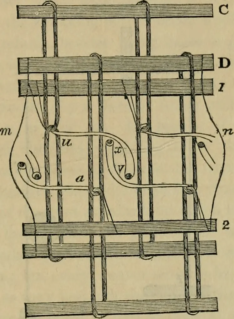 An illustration from The art of weaving, by hand and by power, with an introductory account of its rise and progress in ancient and modern times, 1844, leaf 148