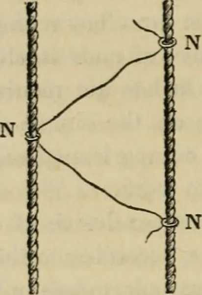An illustration from The art of weaving, by hand and by power, with an introductory account of its rise and progress in ancient and modern times, 1844, leaf 169