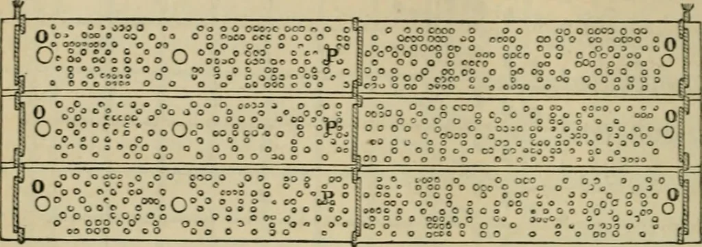 An illustration from The art of weaving, by hand and by power, with an introductory account of its rise and progress in ancient and modern times, 1844, leaf 217