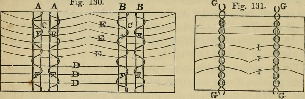 An illustration from The art of weaving, by hand and by power, with an introductory account of its rise and progress in ancient and modern times, 1844, leaf 277