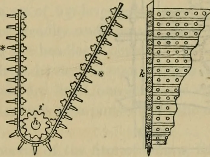 An illustration from The art of weaving, by hand and by power, with an introductory account of its rise and progress in ancient and modern times, 1844, leaf 422