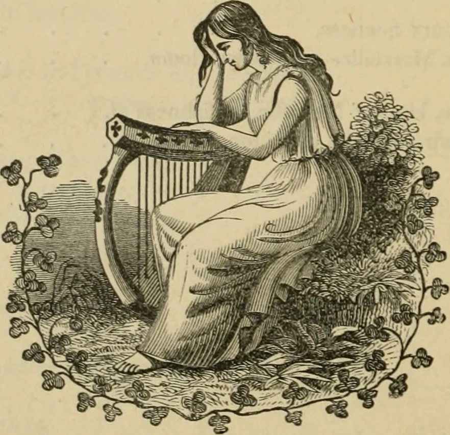 An illustration from The art of weaving, by hand and by power, with an introductory account of its rise and progress in ancient and modern times, 1844, leaf 657