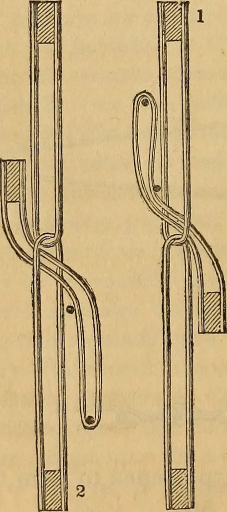 An illustration from The art of weaving, by hand and by power, 1844, leaf 147