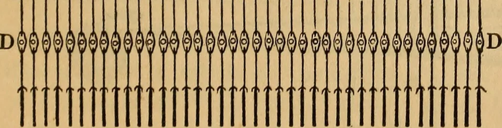 An illustration from The art of weaving, by hand and by power, 1844, leaf 164
