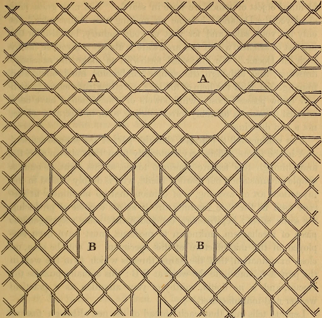 An illustration from The art of weaving, by hand and by power, 1844, leaf 318