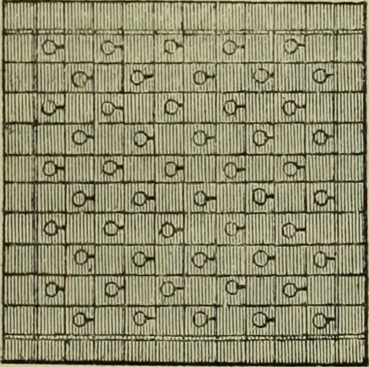 An illustration from The art of weaving, by hand and by power, : with an introductory account of its rise and progress in ancient and modern times. For the use of manufacturers and others., 1844, leaf 174