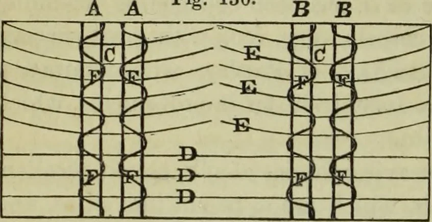 An illustration from The art of weaving, by hand and by power, : with an introductory account of its rise and progress in ancient and modern times. For the use of manufacturers and others., 1844, leaf 273