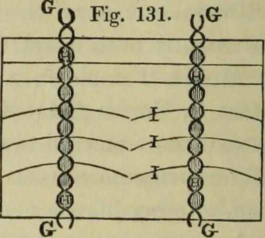 An illustration from The art of weaving, by hand and by power, : with an introductory account of its rise and progress in ancient and modern times. For the use of manufacturers and others., 1844, leaf 273