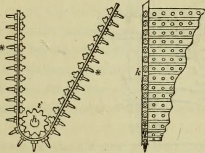 An illustration from The art of weaving, by hand and by power, : with an introductory account of its rise and progress in ancient and modern times. For the use of manufacturers and others., 1844, leaf 418