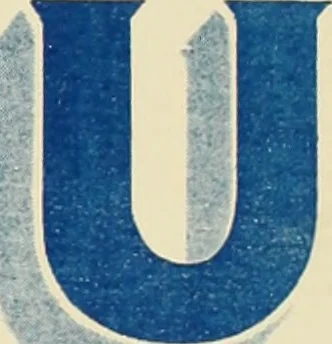 An illustration from The art ornamenter and modern sign writer. "Up to date.", 1895, leaf 64